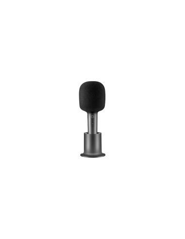 Xiaomi Karaoke Microphone